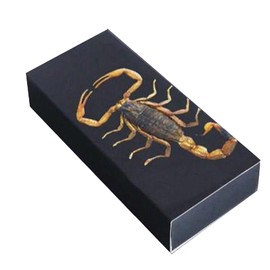 HIPFATE Clear Teardrop Lucite Nylon Cord Necklace w/Genuine Brown Recluse Spider