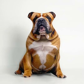 Wucidici 3D Dog Pillow, Plush Stuffed Animal Cushion Throw Pillows, Vivid Pet Simulation Dog Shaped for Bed Couch Home Decor, Gift for Girl Boy Pet Lovers