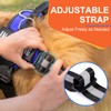 Essential Dog Harness, No Pull Pet Harness with 3 Side