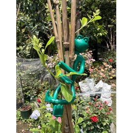 Alsophila Frog Plant Stand, Small Plant Stand for Flowers and Succulents, Cute Garden Decor, Outdoor Flower Stands and Huggers, Climbing Plant Support , Stable Indoor Plant Clips For Climbing Plants（2PCS）