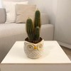 Owl Vase Hand Decorated Home Decoration for Flowers Plants Succulents