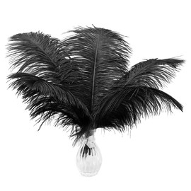 12pcs Natural Black Ostrich Feathers 12-14inch (30-35cm) for Wedding Party Centerpieces，Flower Arrangement and Home Decoration.