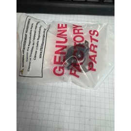 Raypak 006035F Raypak Kit-Temp Sensor 300F