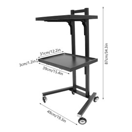 2-Tier Salon Trolley Rolling Modern Salon Tray Cart with Wheels Stainless Steel Beauty Trolley Cart with Trays for Spa Beauty Salon Load 66.14Lbs (Black)