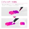 Tombow Pencil Brush Pen Dual Brush Pen ABT 10 Color