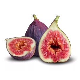 Hardy Chicago Organic Fig Tree 5 Cuttings       ---Hardy Chicago