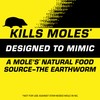 Tomcat Mole Killer Worm Bait, 10 Count (Pack of 4)