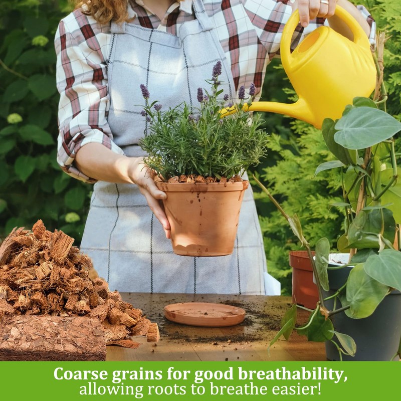Riare 10 Pack Coco Chips Substrate for Plants- 11lb 100%