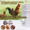 Comederos Automático Para Pollos ,gallo,codorniz, 6 Piezas