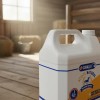 Mass Caballo Galon Aceite Vegetal