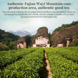 Yuexi Dahongpao Tea Da Hong Pao Tea Floral Da Hong Pao Tea Big Red Robe Oolong Tea Loose Leaf Dahongpao Oolong Tea Fujian Wuyi Mountain Oolong Chinese tea 大红袍 茶叶 乌龙茶 120g/4.23oz 大红袍 花香大红袍 福建武夷山 岩茶