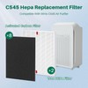 Fanulter 10 Pack C545 Replacement HEPA Filter Compatible with Winix
