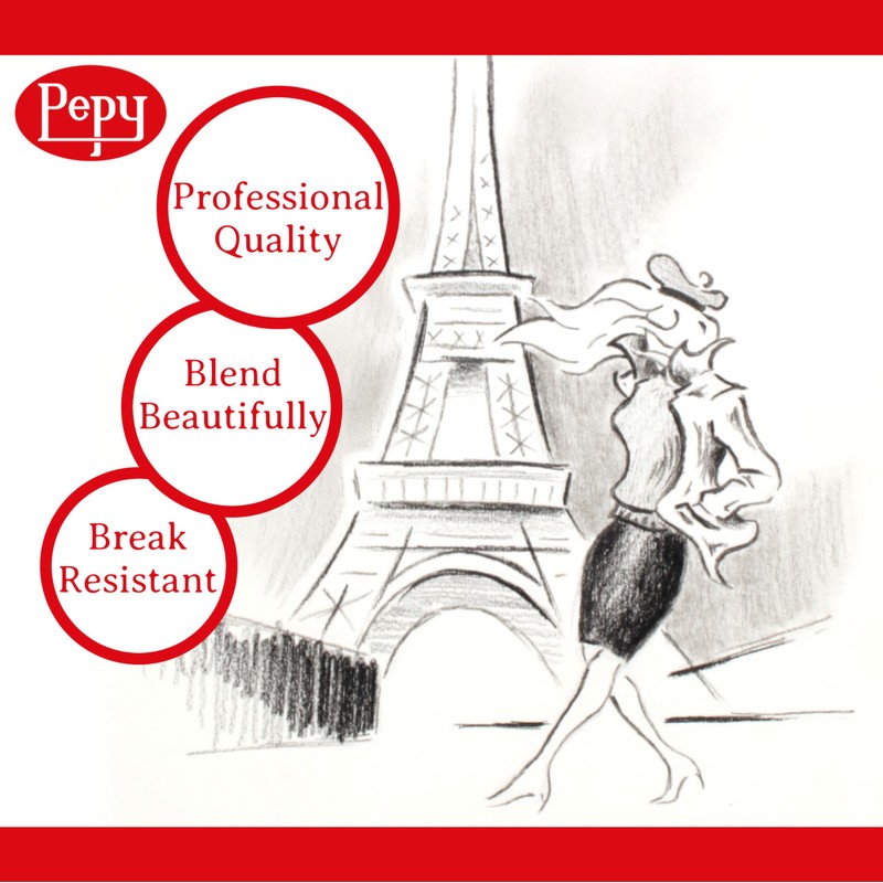 Pepy Professional Medium Charcoal Pencil Drawing Set – Set of