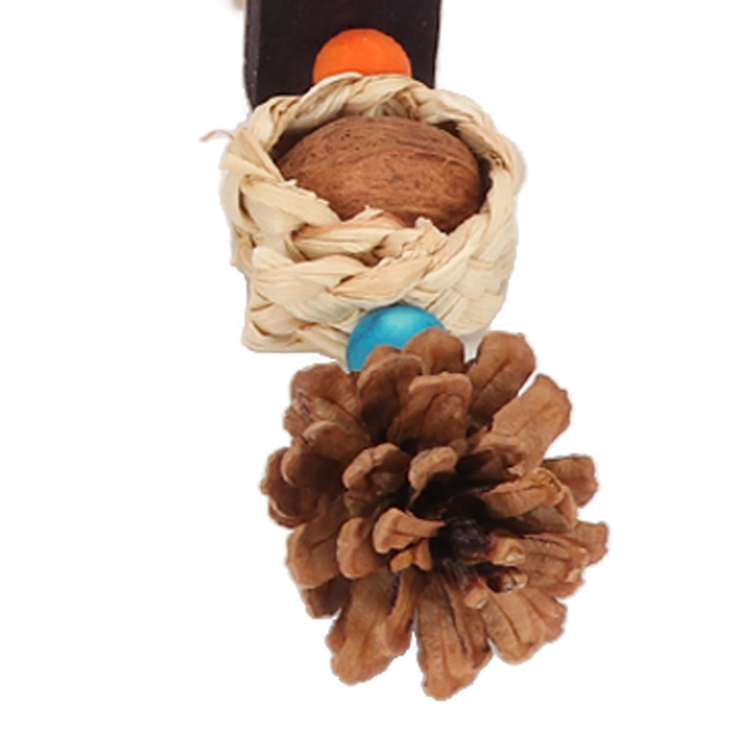 5PCS Parrot Chewing String Toy Relieve Boredom Bite Resistant Bird