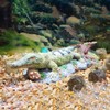 SLOCME Aquarium Alligator Air Bubbler Decorations - Aerating Action Crocodile