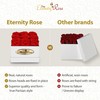The Eternity Rose 9-Piece Preserved Roses in a Luxury Gift
