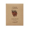 Skinfood Carrot Carotene Calming Water Pad 10g, 5 sheets, 1 piece / 스킨푸드 캐롯 카로틴 카밍 워터패드 10g, 5매입, 1개