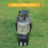 Horned Owl Decoy and 360° Rotating Head Owl Statue to
