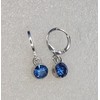 Blue Silver earrings
