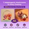 Ashwagandha Gummies and Lions Mane Mushroom Gummies Supplement - Organic