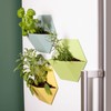 Thumbs Up Pack of 3 Magnetic Wall Planters Flower Pots
