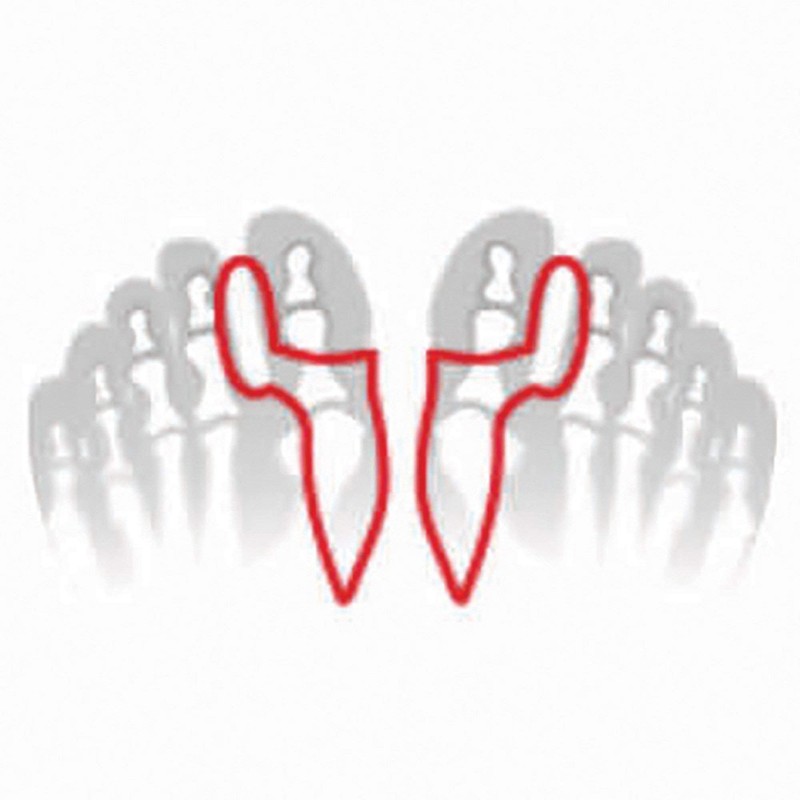 FußGut Hallux Corrector Pair