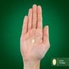Piping Rock Odorless Garlic Supplement | 200 Softgels | Concentrated