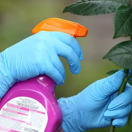 SHOWA 7502PF Biodegradable Powder-Free Nitrile Disposable Safety Glove, Food Safe, 2.5 Mil Thick, 9.5" Length, X-Small (1 Box)