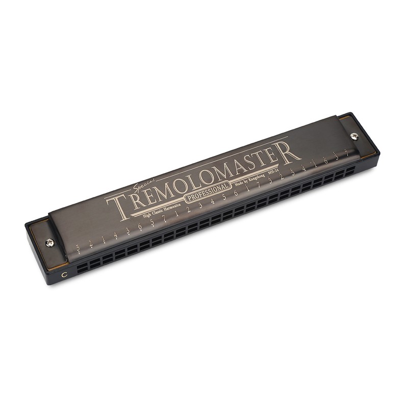 24 Holes 12 Tone C Key Harmonica Mouth Organ Musical