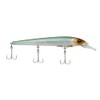 Berkley CURRICAN Hit Stick BHBHSF11-STM