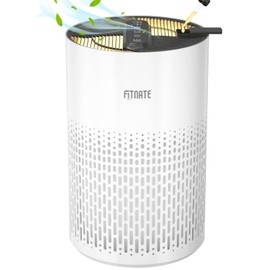 FITNATE Air Purifiers for Home Large Room Up to 1076 Ft² with Aromatherapy, H13 True HEPA Air Purifier for Pets, Quiet Air Cleaner for Dander Odor Dust Smoke Pollen, with Night Light,Timer, White