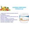 Colágeno Hidrolizado Premium Q10 Piel Más Joven S606