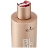 Schwarzkopf Blondme All Blondes Rich Shampoo 300ml