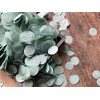 InsideMyNest Stone Green Sage Gray Round Circle Biodegradable Confetti Mix