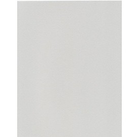 Eskent 5723007 Kent Paper Star Color A4 Pearl Grey, 100 Sheets