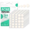 264 Pcs Spots Patches Pimple Patches Hydrocolloid Invisible Dots Spots