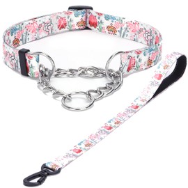 Haoyueer Martingale Dog Collar and Leash Set, Stainless Steel Chain, No Pull Training Collar with Flower Design, for Small, Medium, Large Dogs (NO26, S)