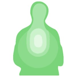 National or American TT-II US Treasury Transitional Silhouette Target, Transtar-II, 24" x 40" - 25 Targets, Green