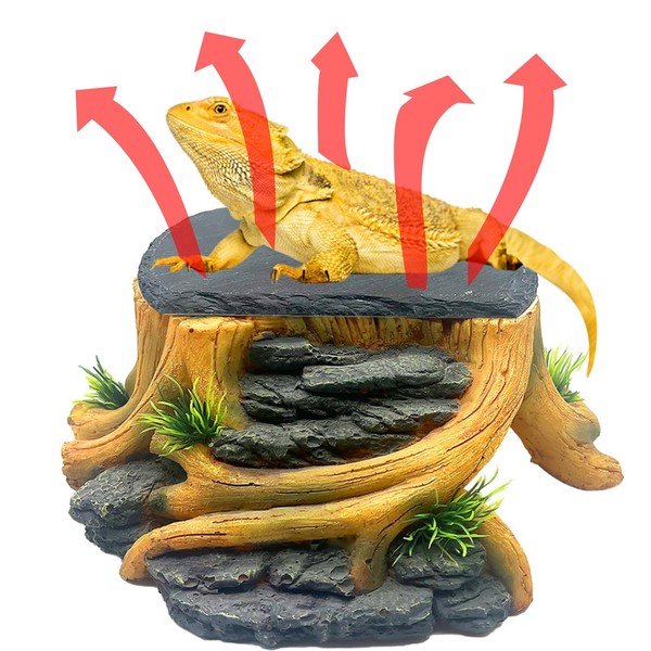 GXSDJ Bearded Dragon Basking Platform, Leopard Gecko Humid Hide, Reptile