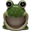 Merz67 LLC FROG Scrubby Ceramic Holder with Scrubbie Sponge Kitchen