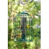 Audubon Squirrel Proof Caged Tube Type Bird Feeder Model NATUBE3
