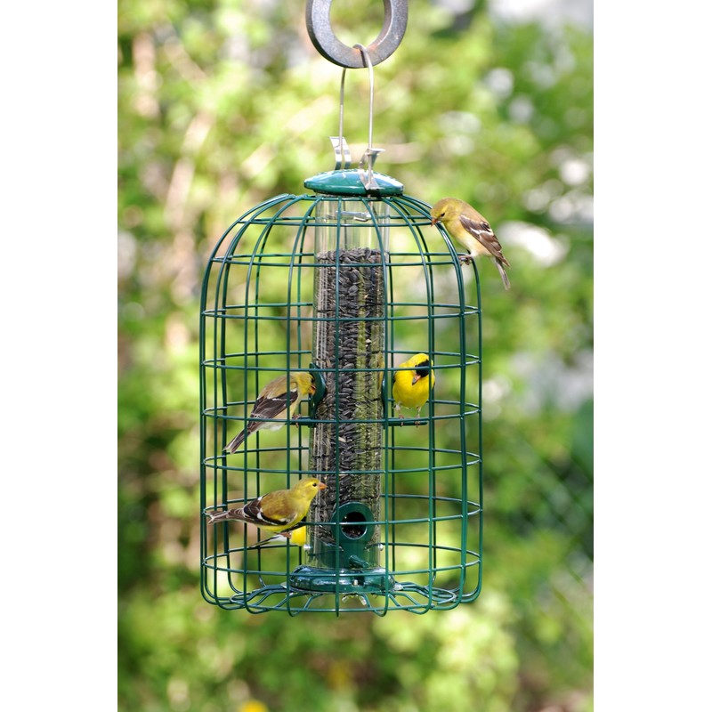 Audubon Squirrel Proof Caged Tube Type Bird Feeder Model NATUBE3