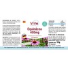 Echinacea 400 mg – 90 Capsules – High Dose and