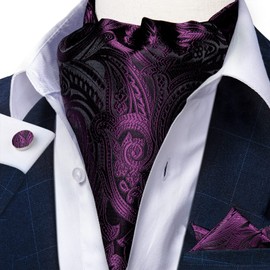 DiBanGu Ascot Ties for Men Purple Paisley Mens Cravat Silk Self-tied Scarf Tie with Pocket Square Tie Ring Cufflinks Wedding Party