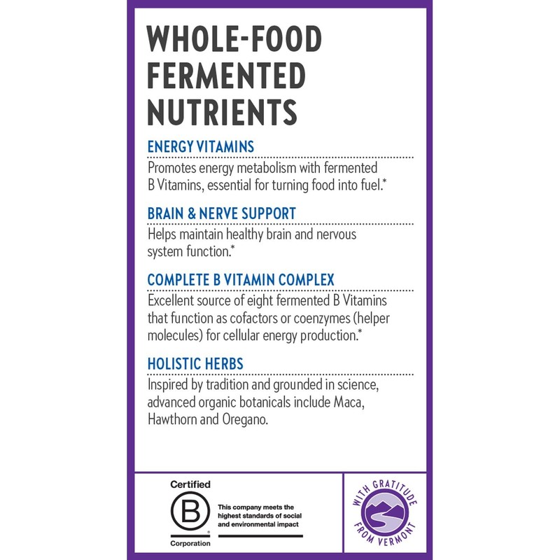 New Chapter Vitamin B Complex – Fermented Coenzyme B Complex