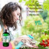 Naissance Native Neem Oil (No. 235) 500 ml Organic Certified