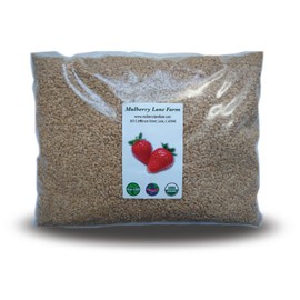 Hard White Wheat Berries 5 Pounds Kernels Montana Golden 86 USDA Certified Organic Non-GMO, Bulk, Product of USA