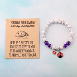 Ladybug Inspirational Bracelet Ladybug Jewelry Good Luck Ladybug Charm Bracelet (A Lucky ladybug bracelet ca)
