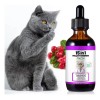 Multivitamínico 15 En 1 Para Gatos Salud Y Energía Natural