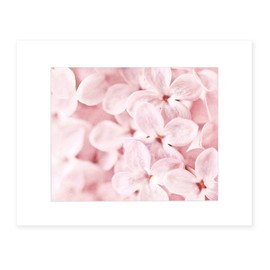 Pink Flower Wall Art, Cherry Blossom Pictures, Floral Rose and Lilac Decor, Set of 4 Photographic Prints - 5x7 or 8x10 (with or without matting), Pink'